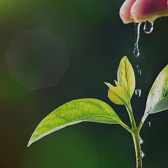 luck18xinli(�й���)-�ٷ���վ