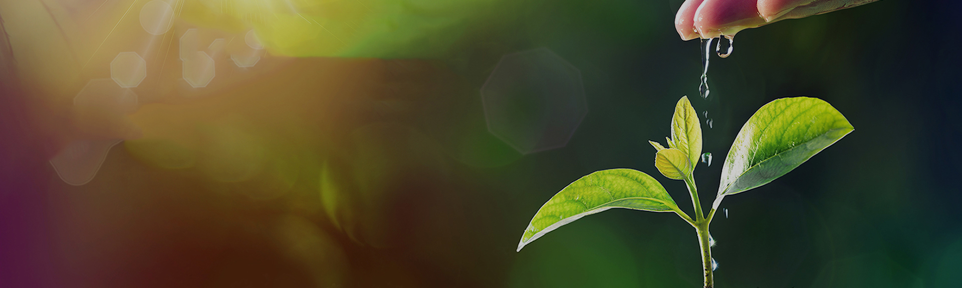 luck18xinli(�й���)-�ٷ���վ