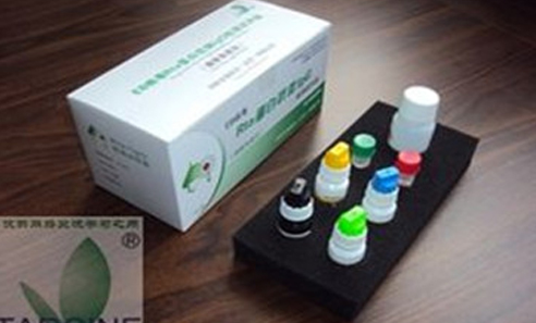 luck18xinli(�й���)-�ٷ���վ